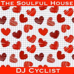 DJ Cyclist   The Soulful House