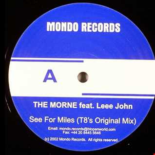 The Morne feat. Leee John - See For Miles (T8s Original Mix)