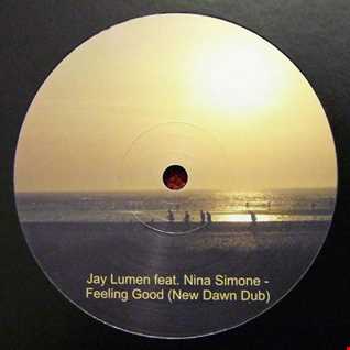 Jay Lumen Feat. Nina Simone   Feeling Good (Radio Cut)