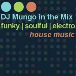 DJ Mungo in the Mix (329)