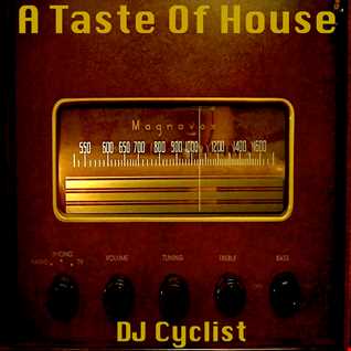 DJ Cyclist   A Taste Of House