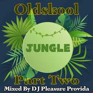 Pleasure Provida - Oldskool Jungle 2021 Part Two