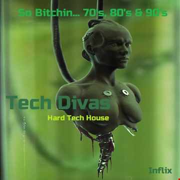 Inflix - So Bitchin... 70's, 80's & 90's - Tech Divas: Hard Tech House