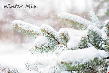 Winter Mix