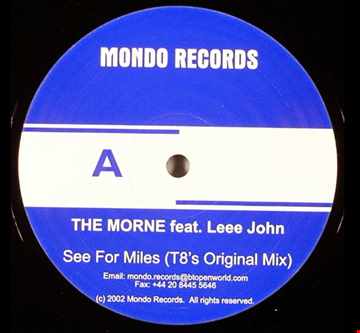 The Morne feat. Leee John - See For Miles (T8s Original Mix)