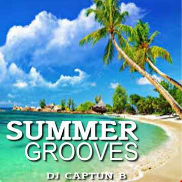 SUMMER GROOVES 2   DJ CAPTUN B