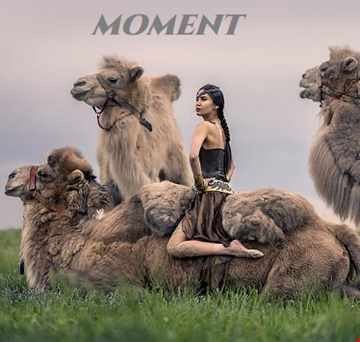 MOMENT