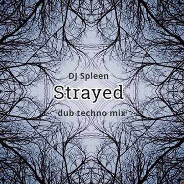 Strayed (dub techno mix)