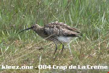 kleez.one 084 Crap de La Creme
