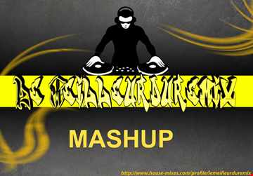 Nirvana Vs David Guetta Vs Martin Garrix - Work Hard Like Teen Animals (Djs From Mars Mashup)