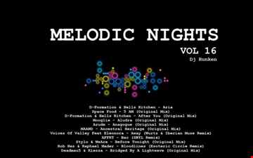 Melodic Nights Vol 16 (2020)