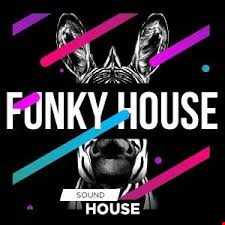 Dance-FunkHouse - MixPart 12  